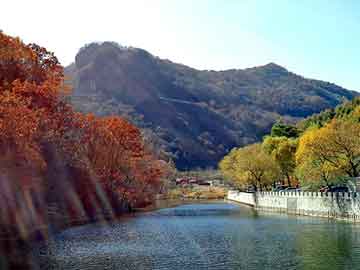 新澳天天开奖资料大全旅游团，美胜画室